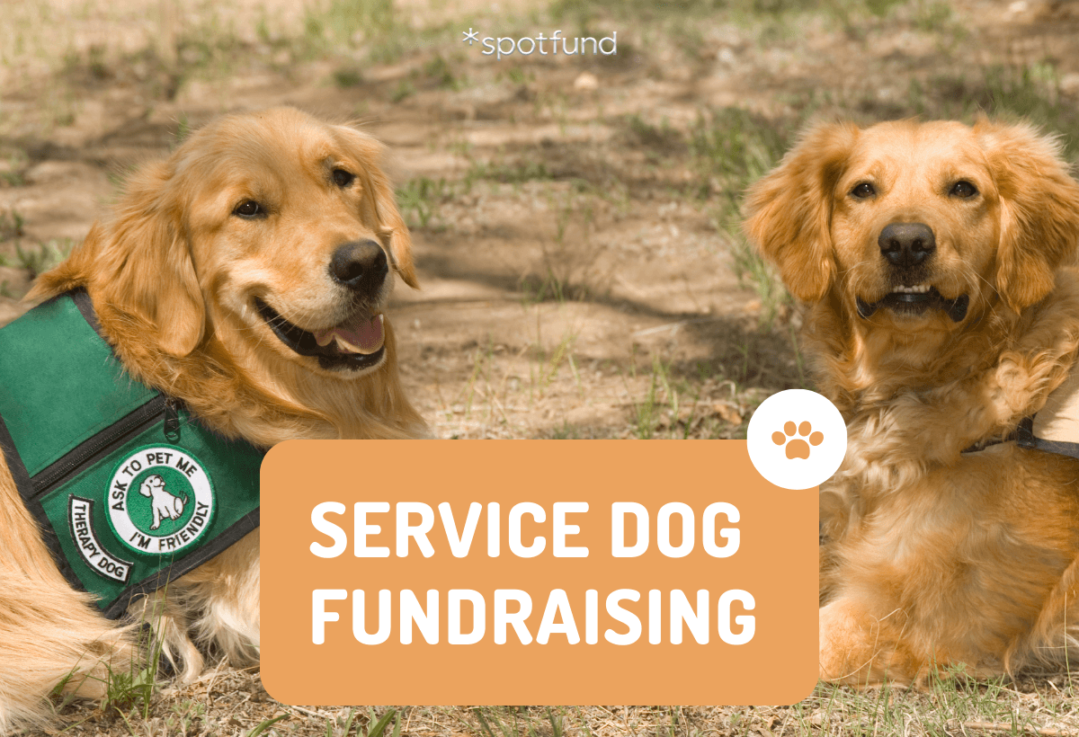A Guide to Service Dog Fundraising