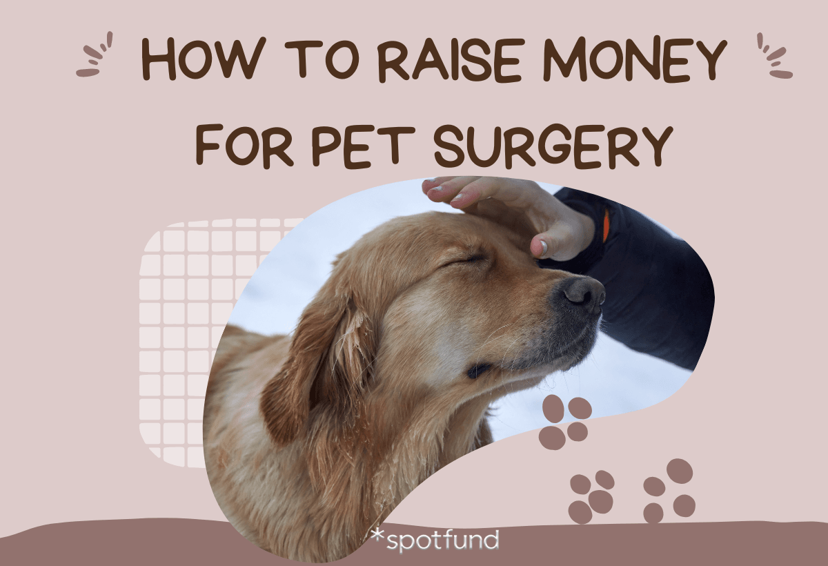 How to Raise Money for Pet Surgery